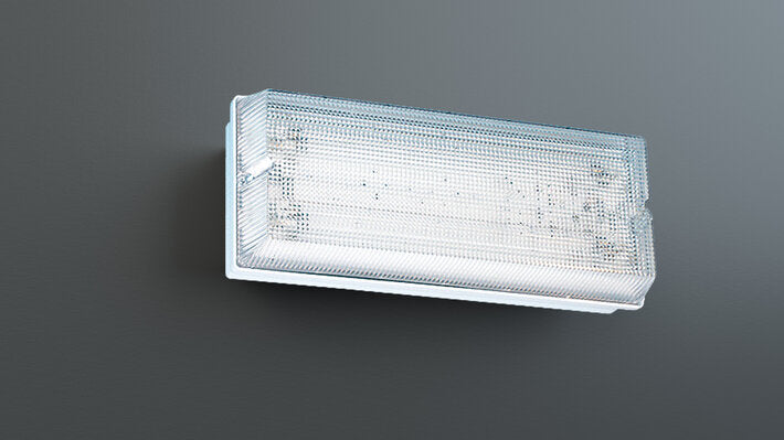 RP-Technik SI/RZ-Leuchte Wand, ZBA, inkl. Piktoset, 4ERT-LED 230V AC/DC, EKW 24m, IP65